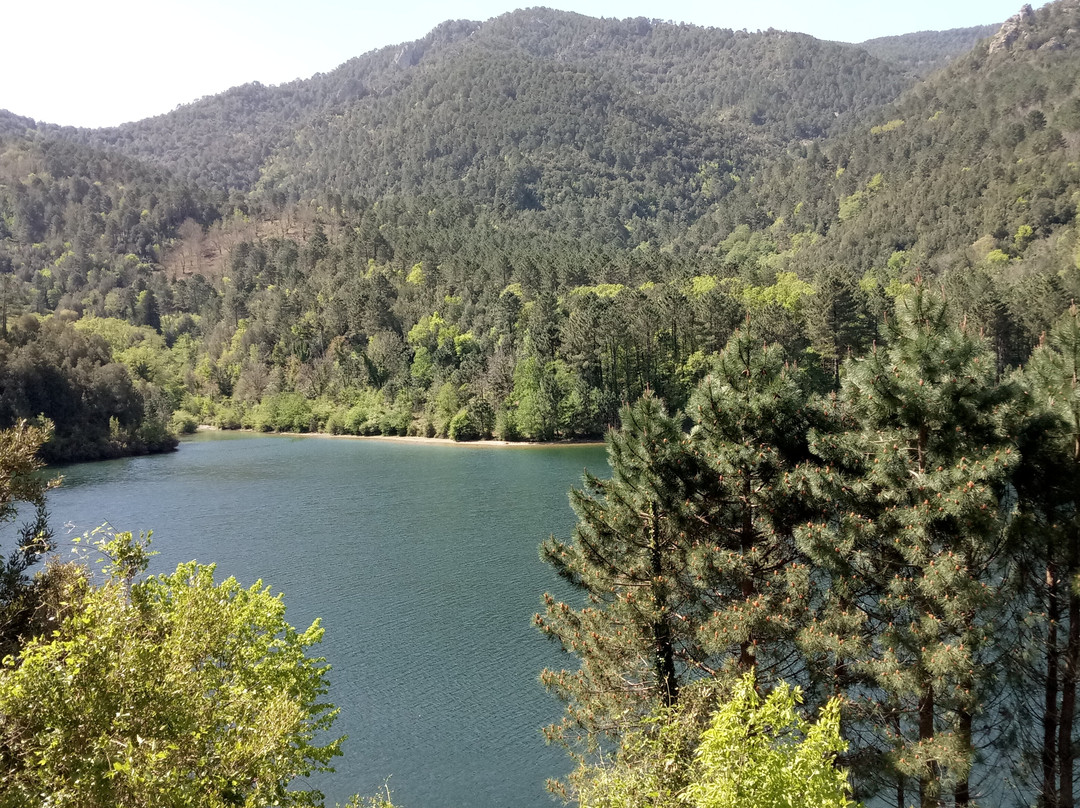 Foret de l'Ospedale-维琪奥港必去景点