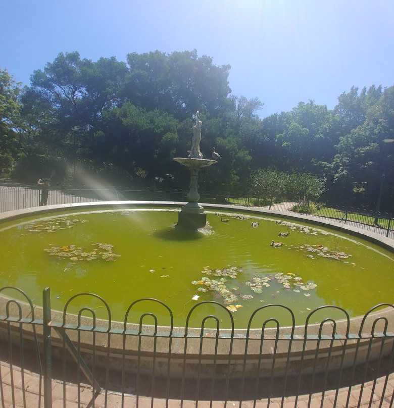 Pro African Safaris-开普敦中心区必去景点