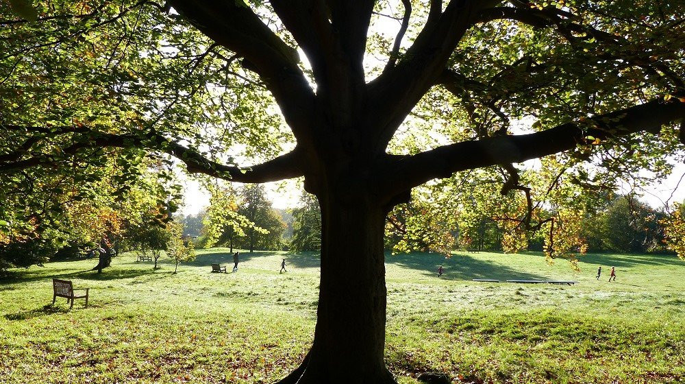 Wandlebury Country Park景点图片