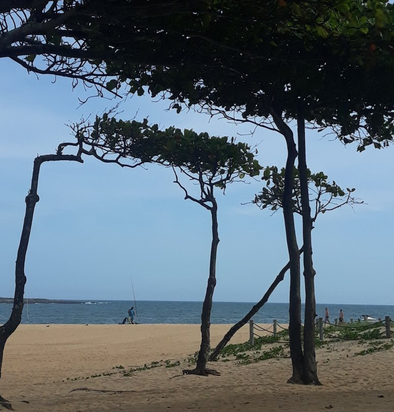 Praia de Itapuã景点图片