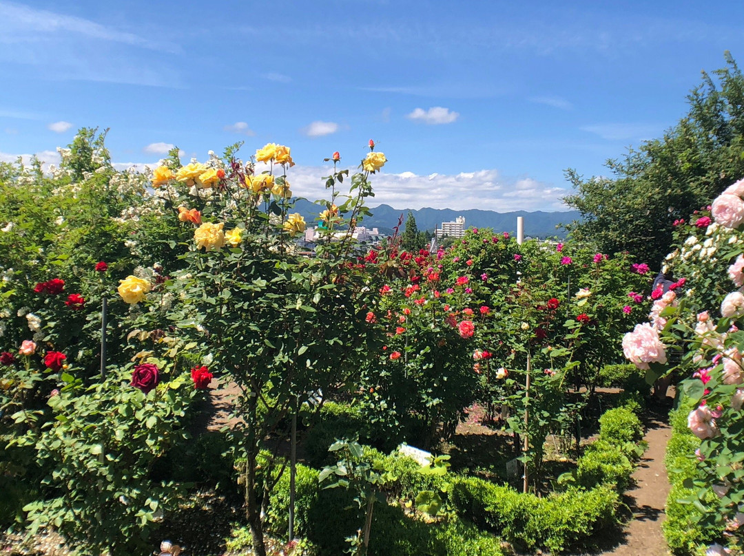 Ishida Rose Garden-大馆市必去景点