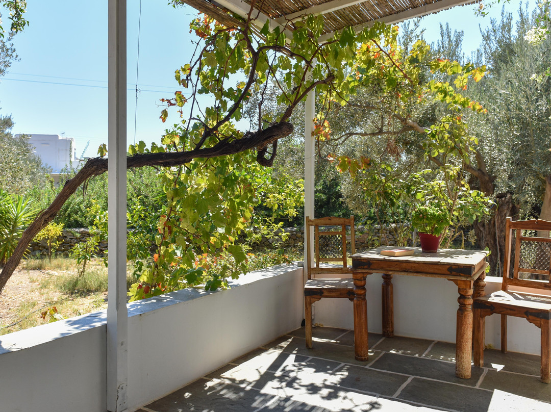 Giannakas studios主图