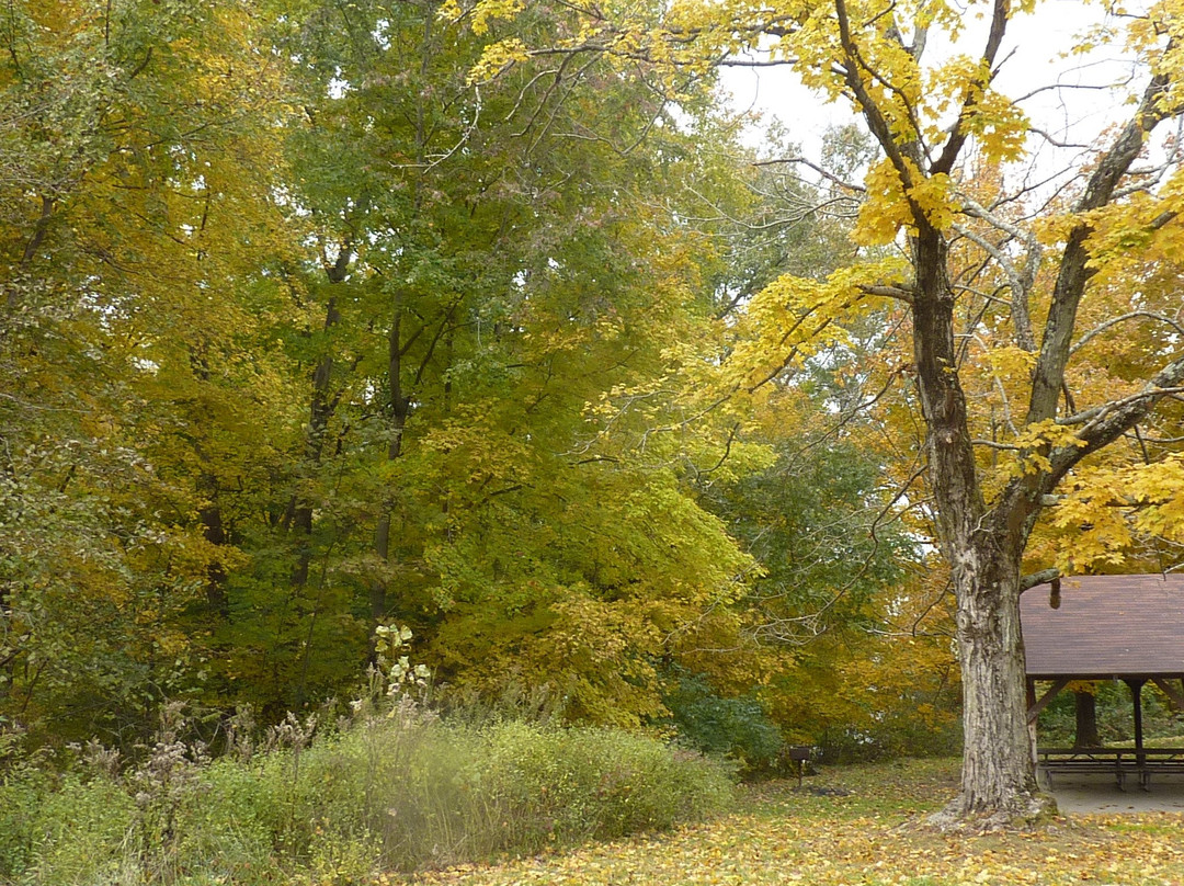 Cowan Lake State Park景点图片