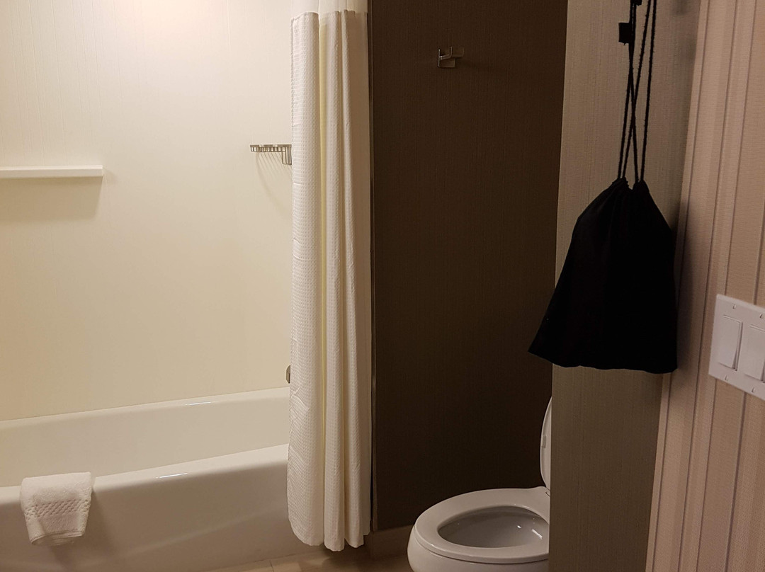 Courtyard by Marriott Los Angeles LAX/Hawthorne主图