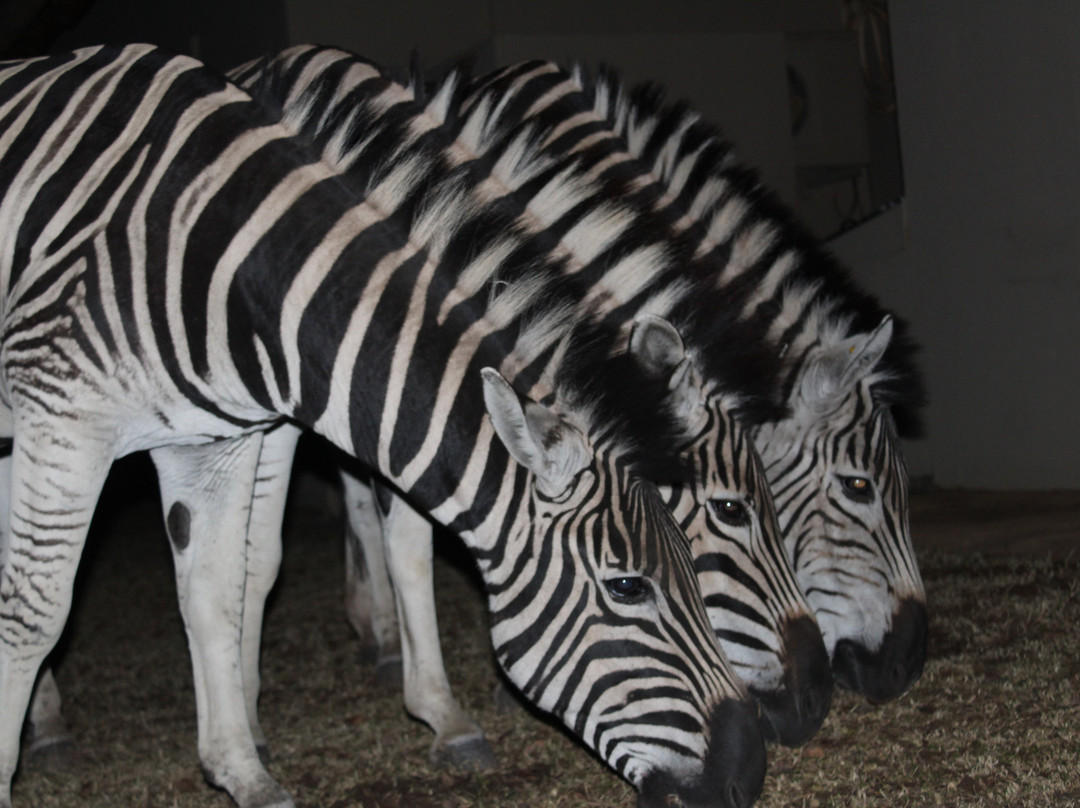 La Barune Game Lodge主图