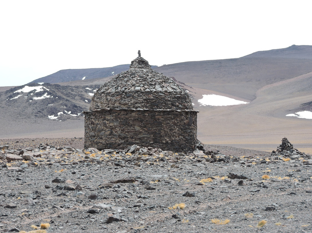 Laguna Brava景点图片