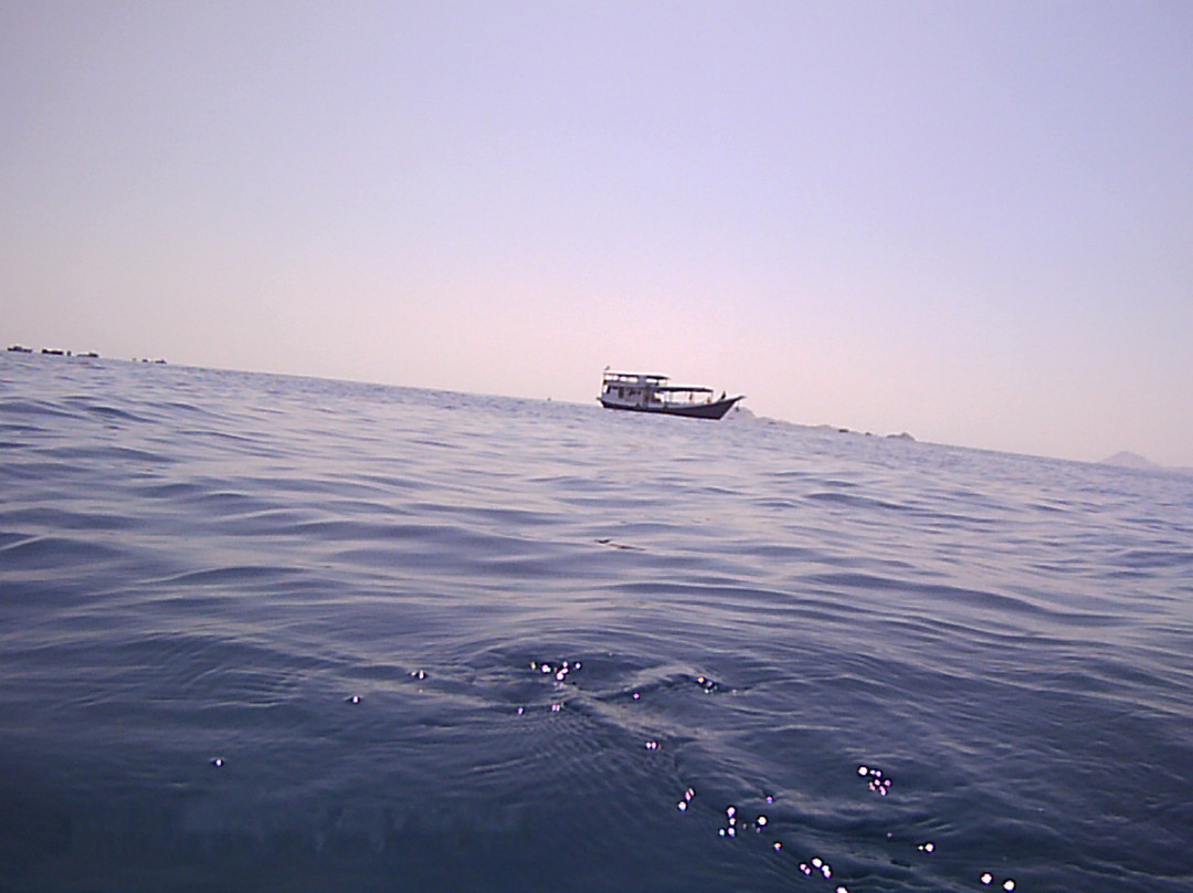 Manta Point-科莫多必去景点