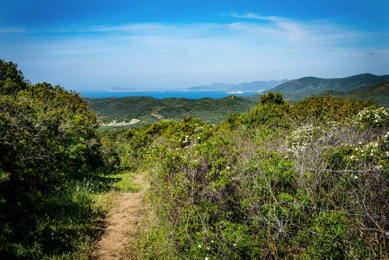 Do Donkey - Trekking con l'asino-Domus de Maria必去景点