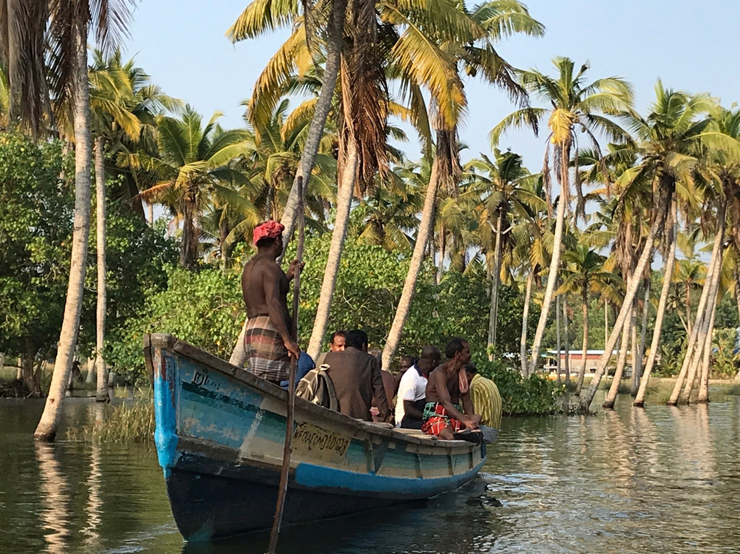 Ayur Kerala Health Care景点图片