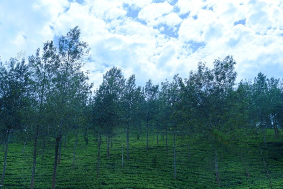 OYO 10840 Hotel Periyar Towers主图