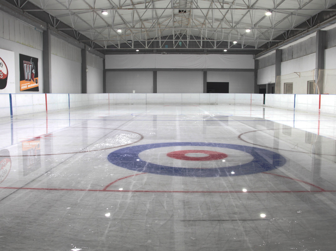 Ice N Skate景点图片