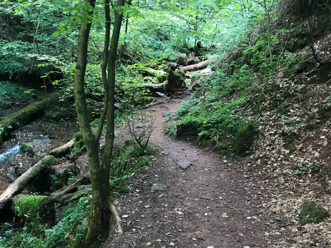 Wolfsschlucht-Zwingenberg必去景点