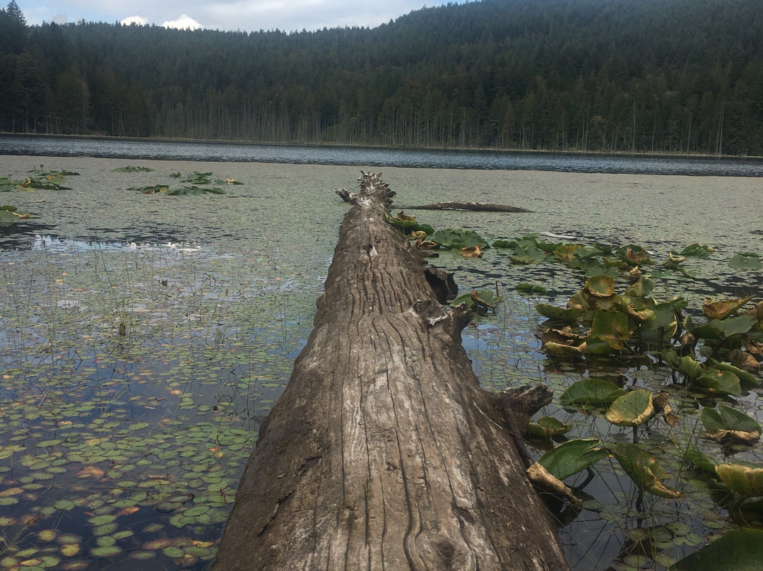 Bowen Island Visitor Centre景点图片