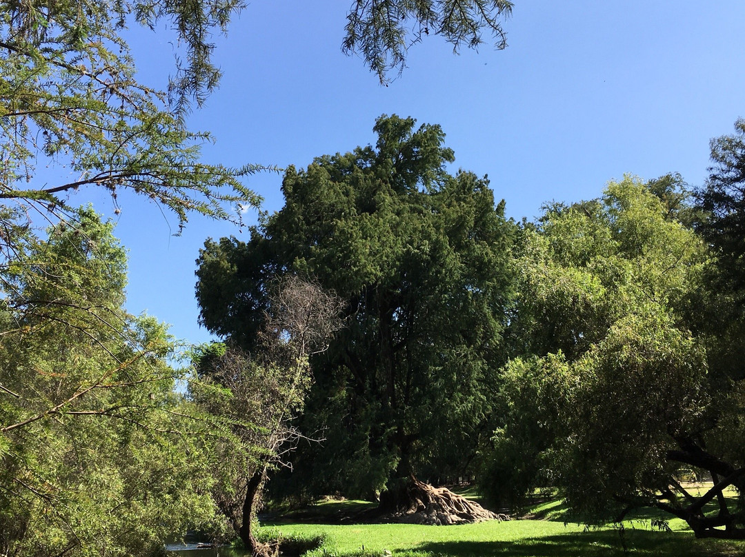 Parque Ecologico El Sabinal-阿瓜斯卡达特斯必去景点