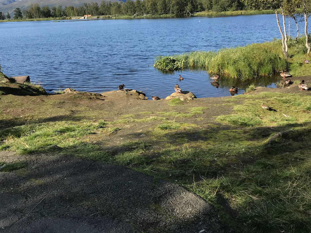 Prestvannet Lake景点图片