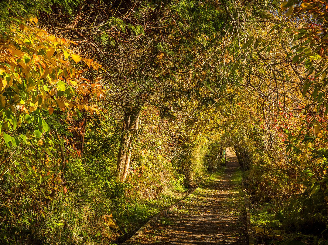 Scriber Lake Park-林伍德必去景点