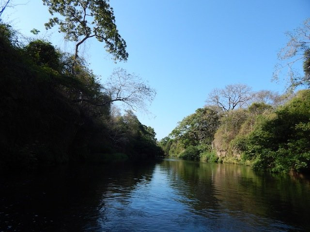 Fly Fish in Costa Rica
