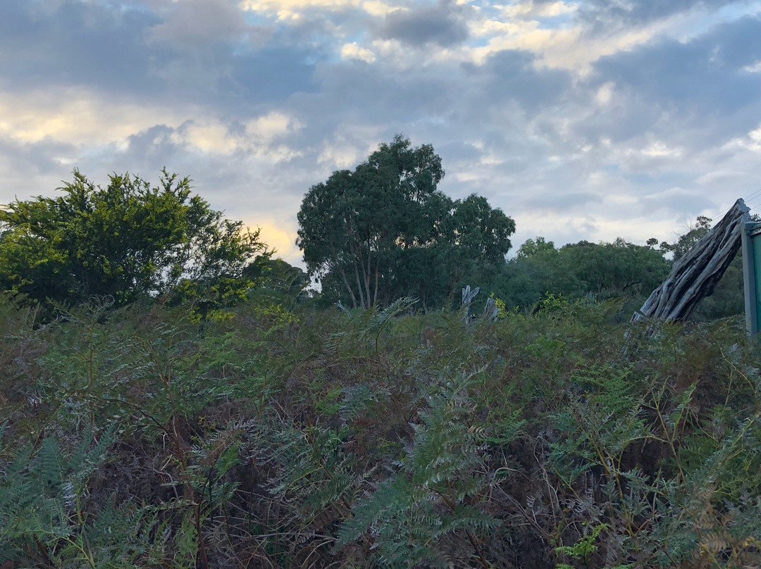 George Street Reserve-Sandringham必去景点