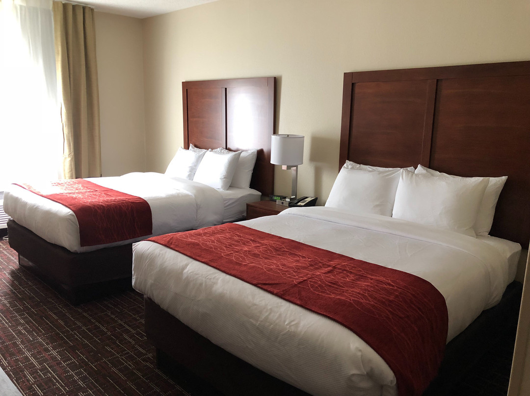 Comfort INN Wichita Falls Near University主图