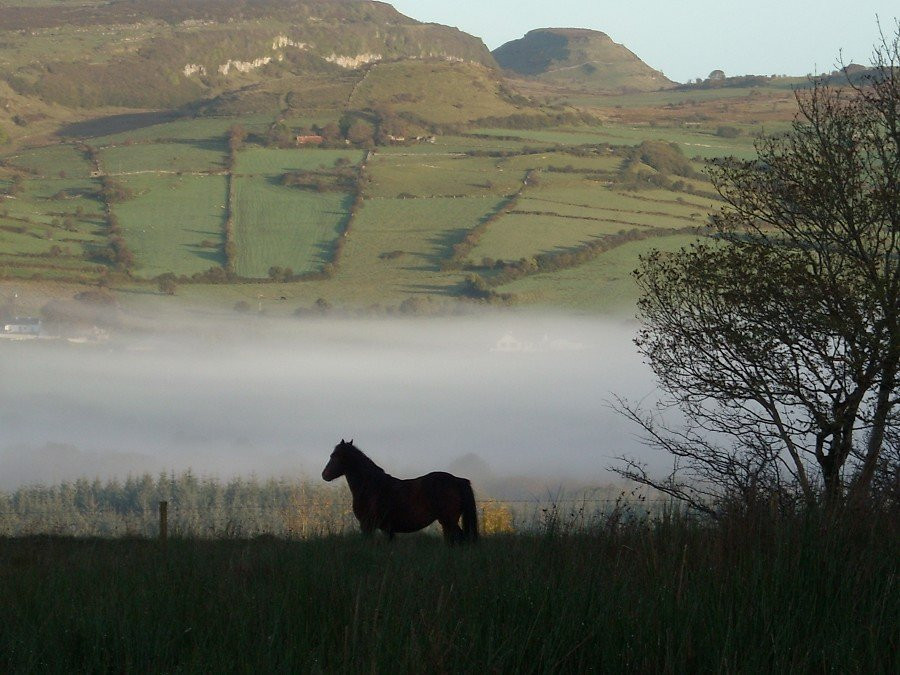 Ballaghboy Lodge Farm