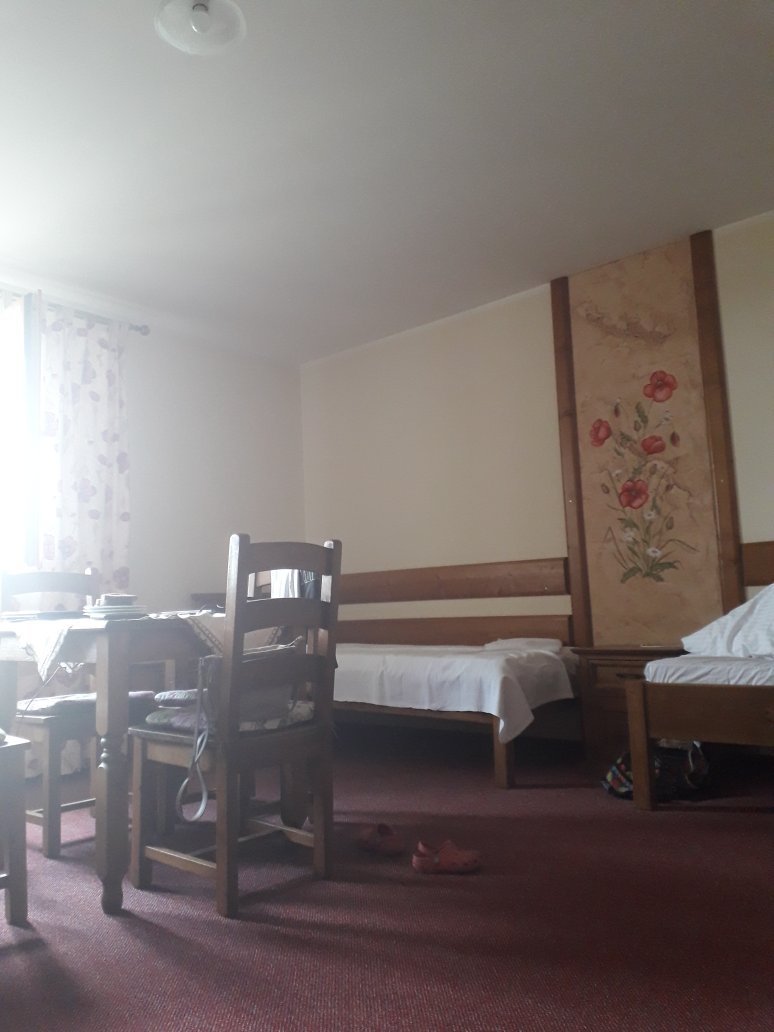 Willa Szarotka-官方