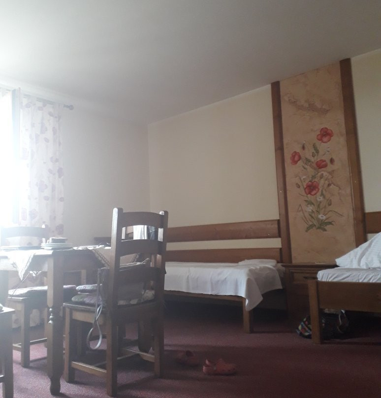 Willa Szarotka主图