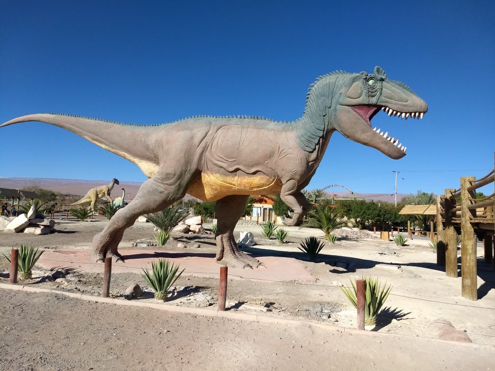 Pica旅游景点-Valle de Los Dinosaurios