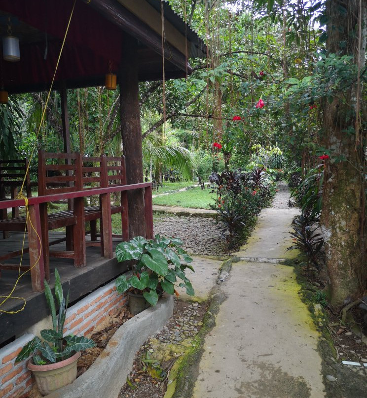 Mega Inn - Tangkahan主图