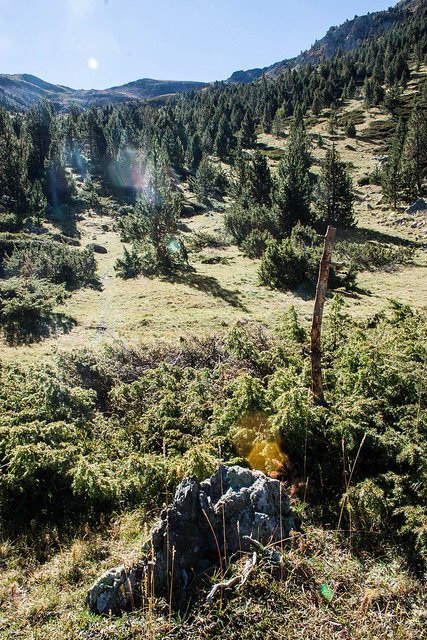 Prat Primer via La Palomera Forest Path Trail景点图片