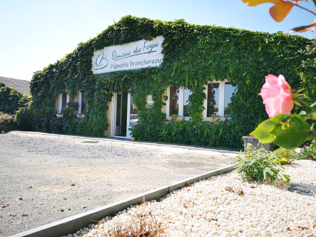Domaine des Forges景点图片