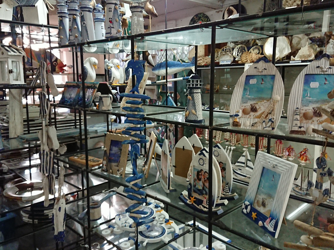 The Shell Shop景点图片