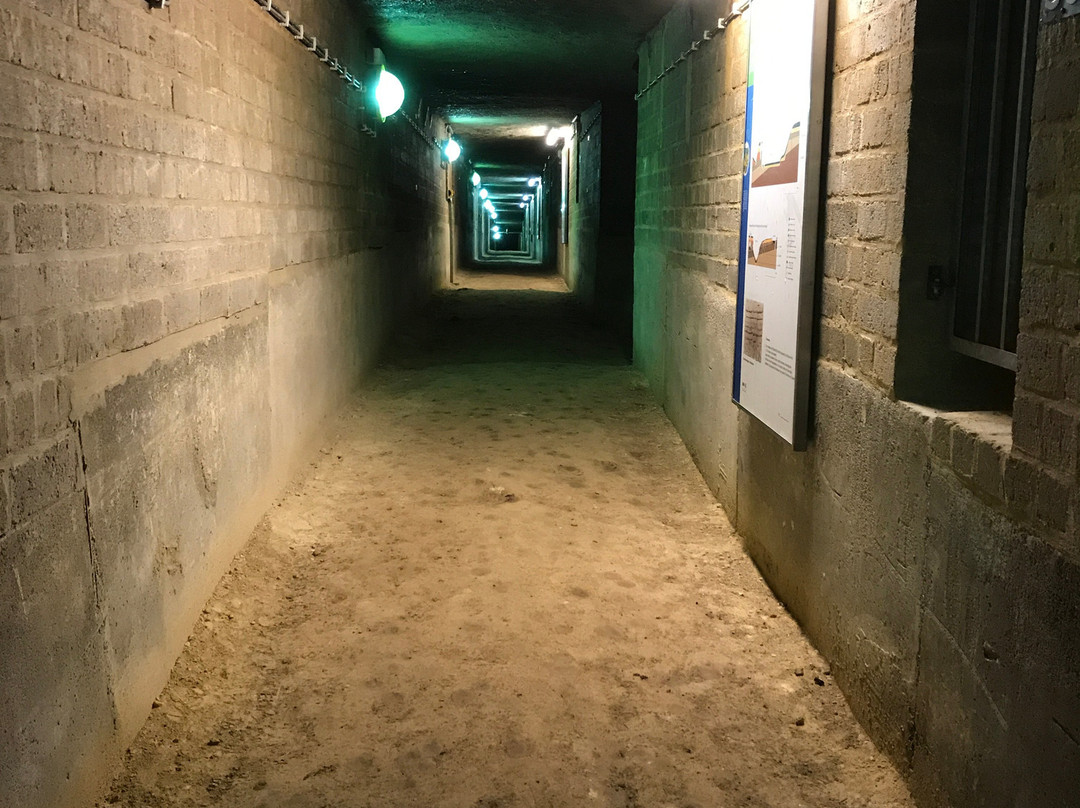 Prehistoric Flint Mines at Rijckholt-St.Geertruid景点图片