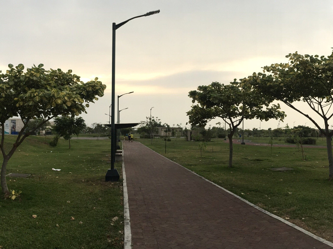 Parque Samanes景点图片