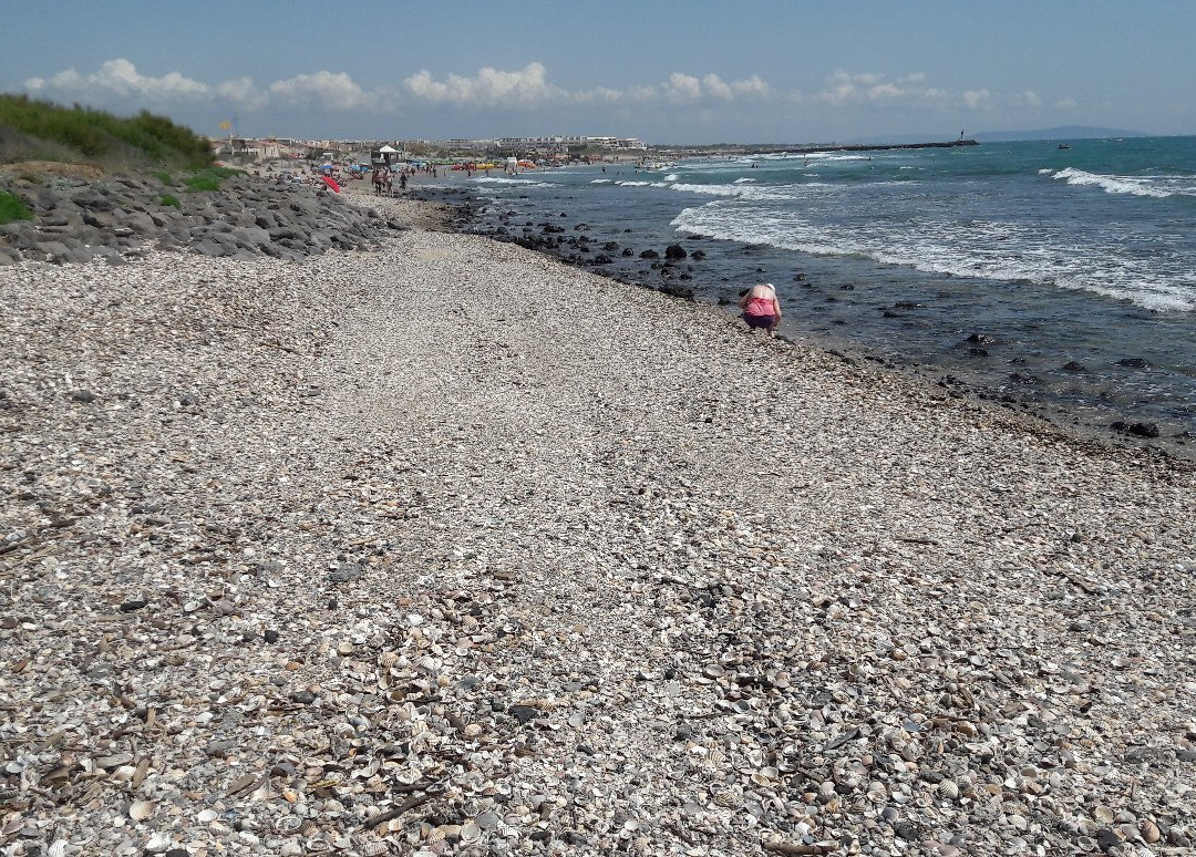 Plage de la Roquille景点图片