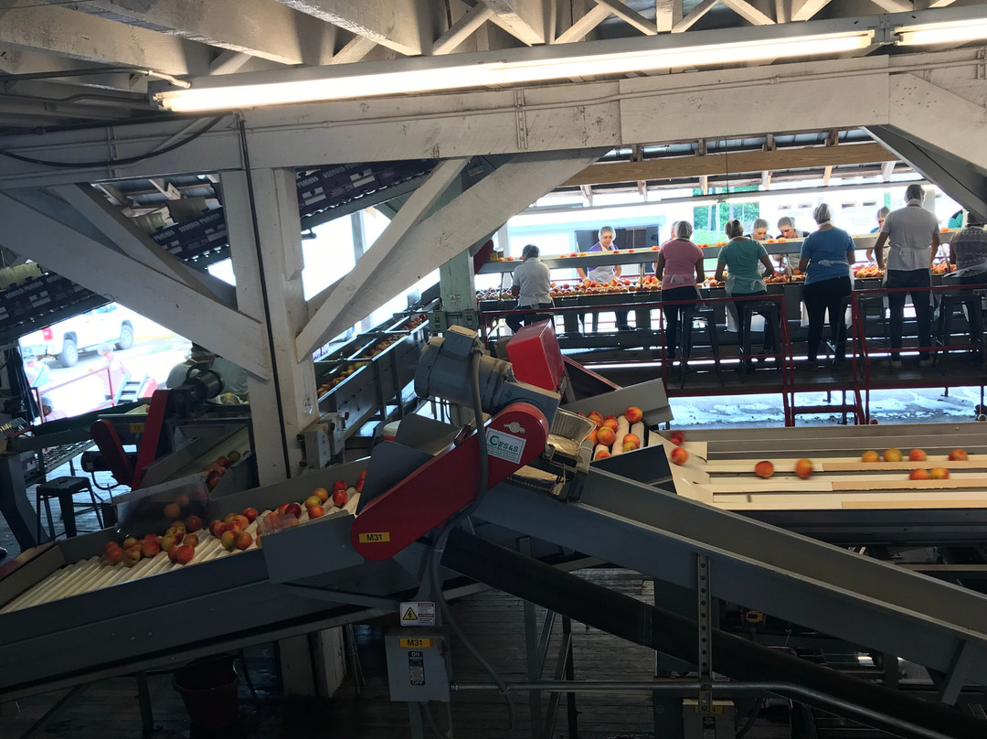 Dickey Farms-Musella必去景点