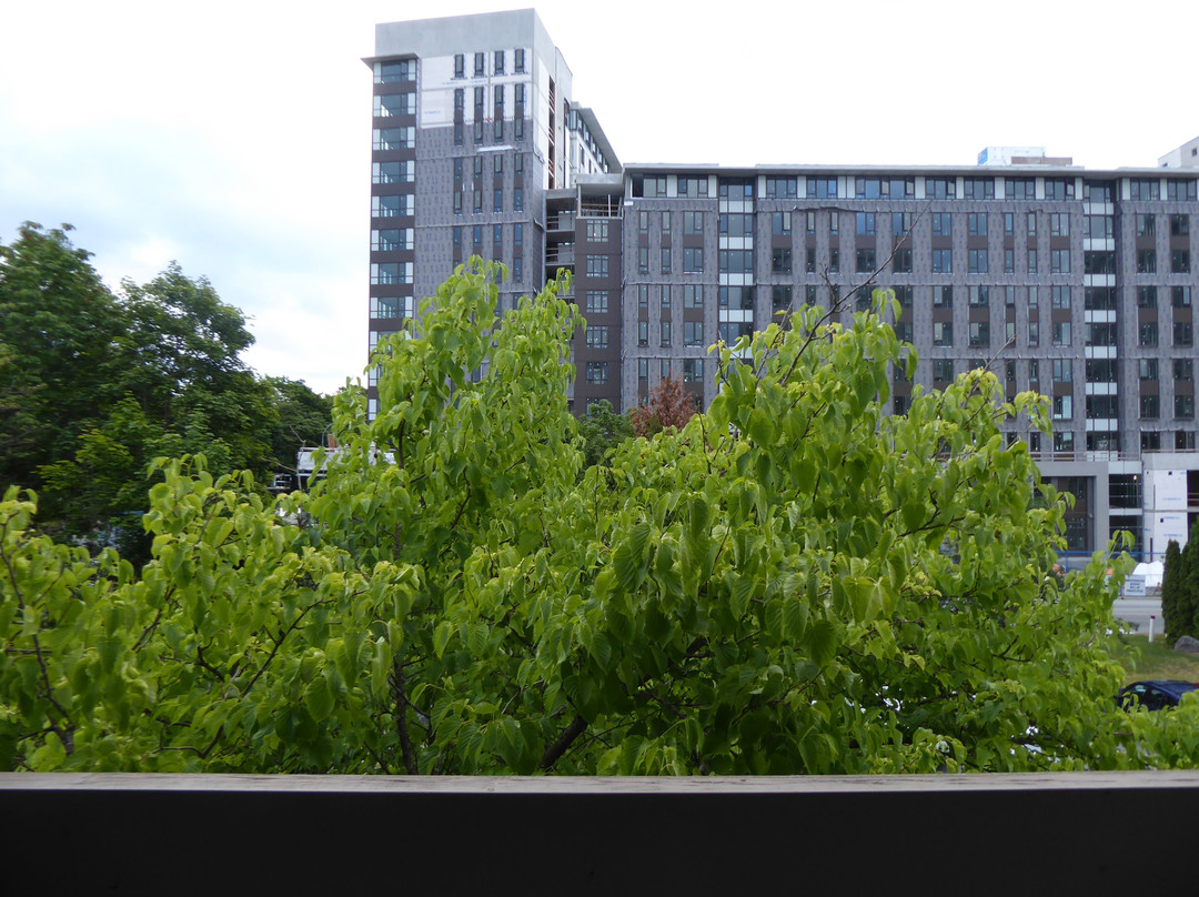 UBC西海岸套房酒店主图