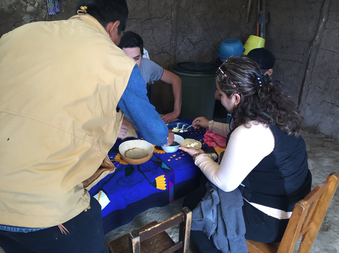 Rutas Mayas Del Sureste-帕伦克必去景点