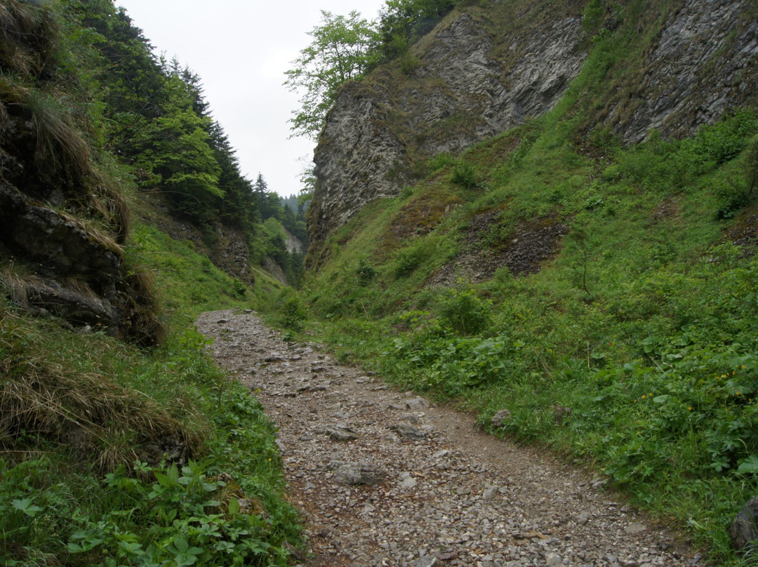 Szopczanski Gorge景点图片