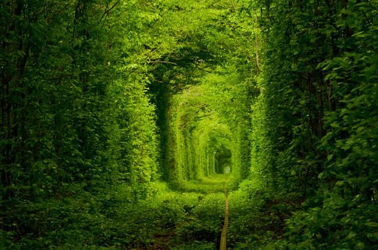 Tunnel of Love景点图片