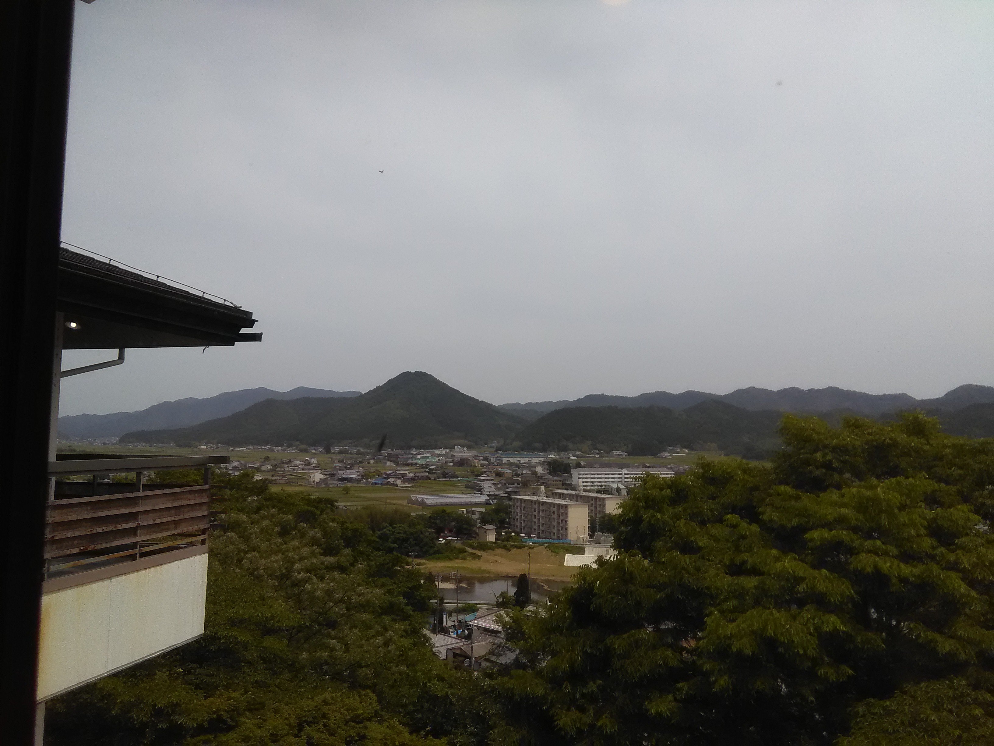 Sasayamaso-官方
