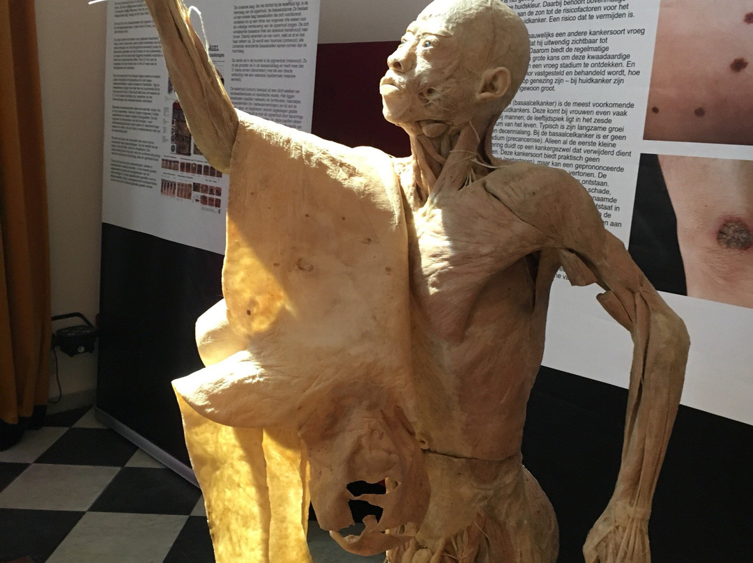 Marienhof Amersfoort-阿默斯福特必去景点