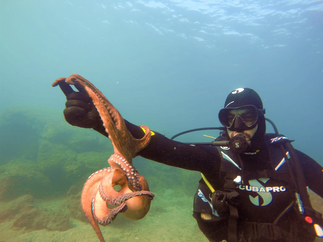 Go Scuba Diving