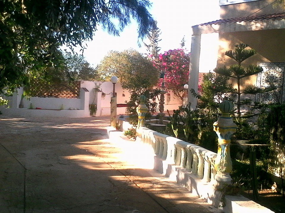 Dar Al Mansoura主图