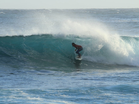 Ocean Life Tenerife-美洲海滩必去景点