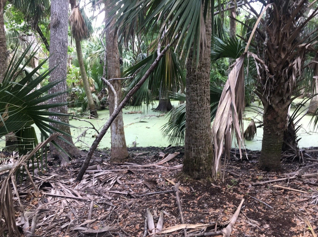 Bulow Creek State Park-奥蒙德海滩必去景点