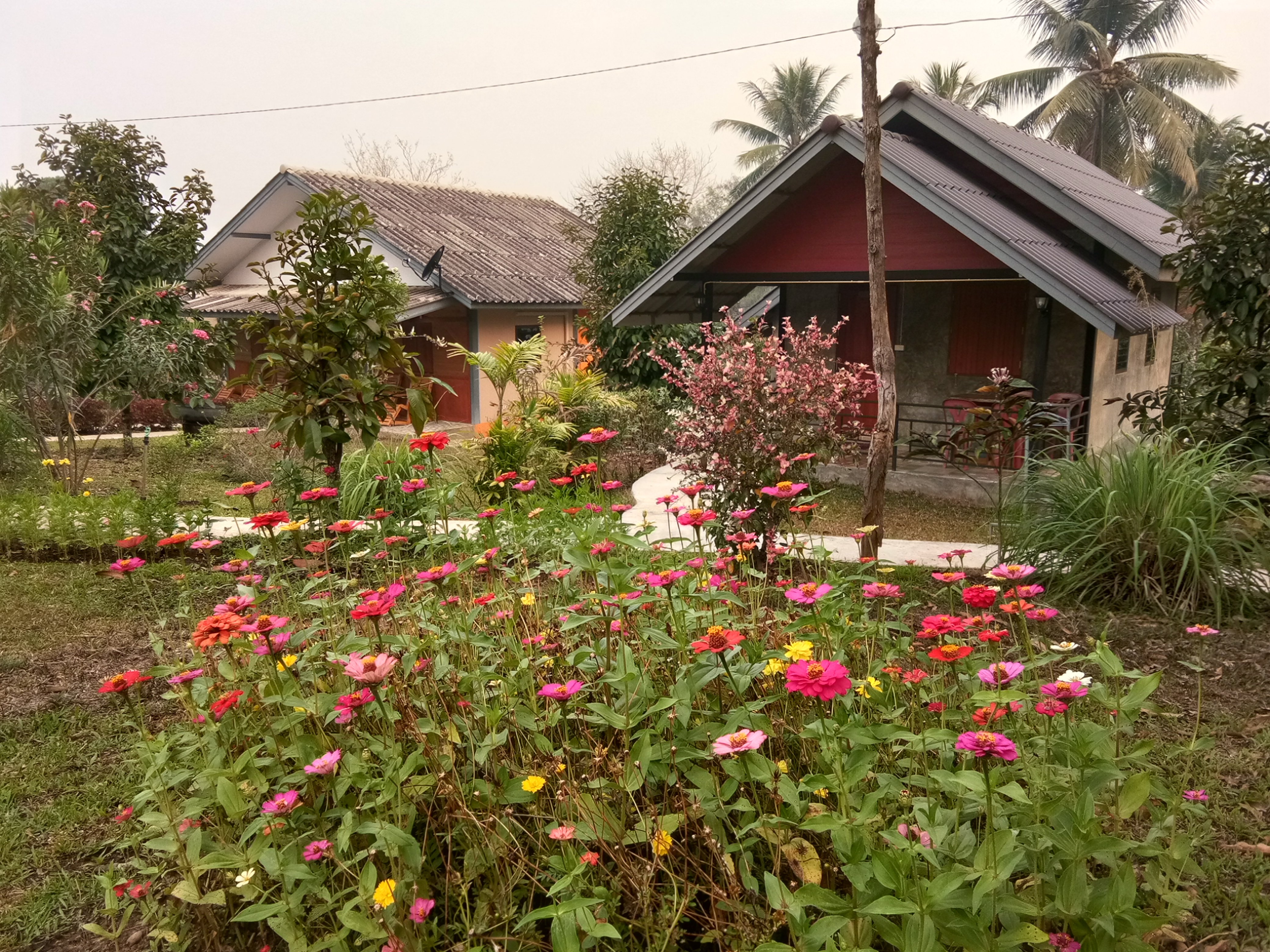 Ban Suan Sukjai Mae Sariang-官方