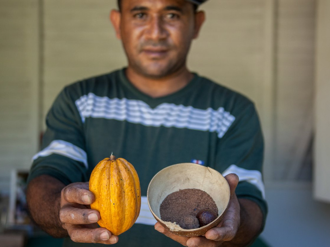 Hacienda Cufa-普拉塔港必去景点