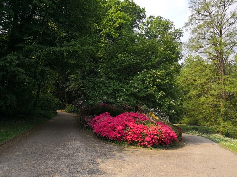Parc de la Gaudiniere景点图片