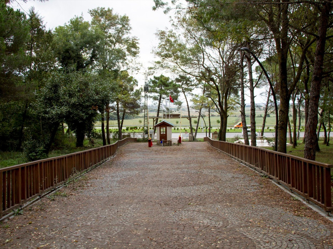 Sarigazel Tabiat Parki景点图片