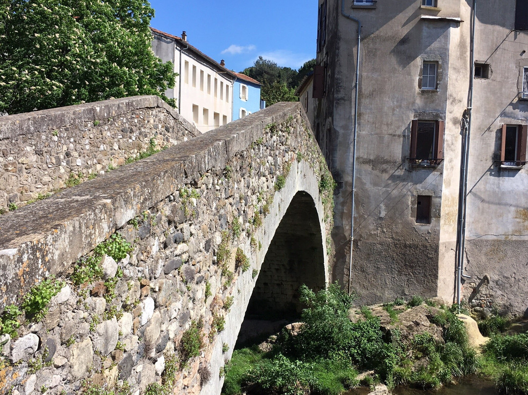 Pont de Montifort-洛代沃必去景点